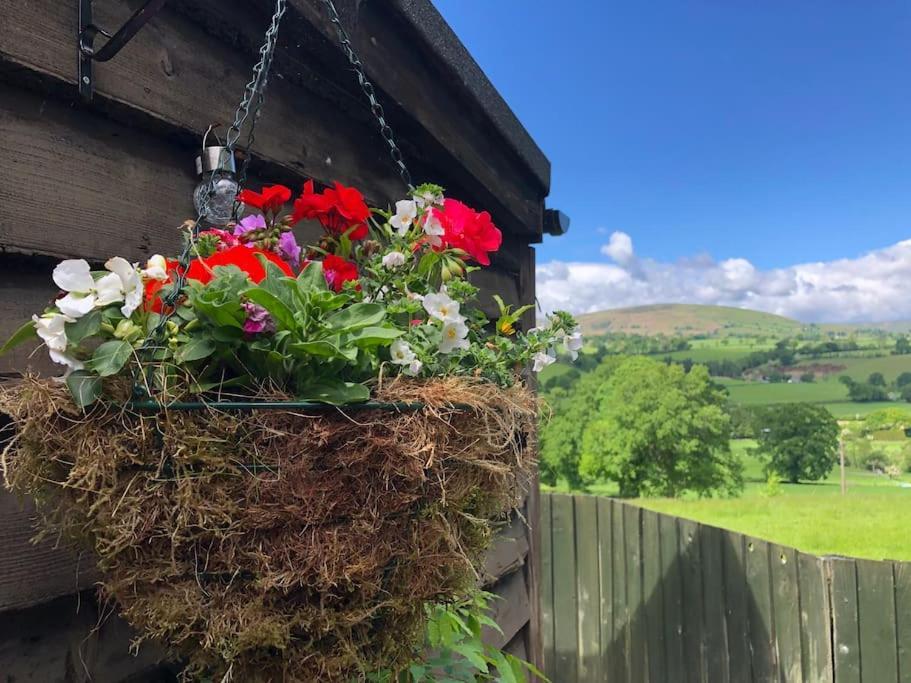 Villa The Retreat Llanrhaeadr-ym-Mochnant Esterno foto